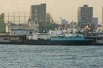 Dcim1374/DSC_8463
