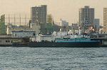 Dcim1374/Dsc_8464
