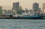 Dcim1374/DSC_8465