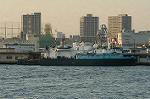 Dcim1374/DSC_8466