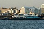 Dcim1374/DSC_8477