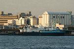 Dcim1374/DSC_8485