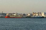Dcim1374/DSC_8486