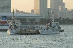 Dcim1374/DSC_8490
