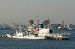 Dcim1376/DSC_8499