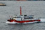Dcim1376/DSC_8519