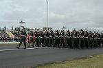 Dcim1381/DSC_4139