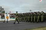 Dcim1381/DSC_4172