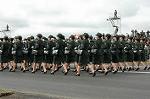 Dcim1381/DSC_4185