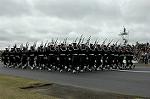 Dcim1381/DSC_4218