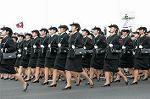Dcim1381/DSC_4234