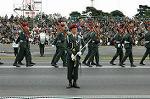 Dcim1383/DSC_4509