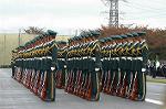 Dcim1386/DSC_8651