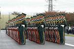 Dcim1386/DSC_8654