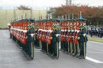 Dcim1386/DSC_8672