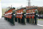 Dcim1386/DSC_8674