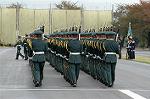 Dcim1386/DSC_8686