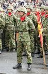 Dcim1387/DSC_8740