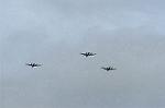 Dcim1388/DSC_8879