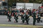 Dcim1388/DSC_8945