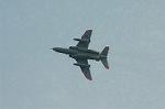 Dcim1390/DSC_4924