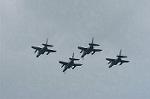 Dcim1393/DSC_9131