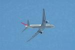 Dcim1400/DSC_9517
