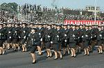 Dcim1408/DSC_6370