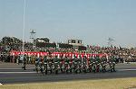 Dcim1411/DSC_6663