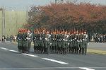 Dcim1411/DSC_6668