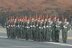 Dcim1411/DSC_6677
