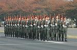 Dcim1411/DSC_6678