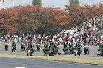 Dcim1417/DSC_0079
