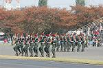 Dcim1417/DSC_0080
