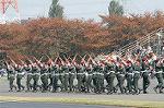 Dcim1417/DSC_0083