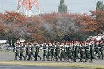 Dcim1417/DSC_0085