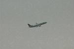 Dcim1428/DSC_7351