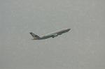 Dcim1428/DSC_7353