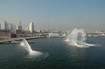 Dcim1456/DSC_0202