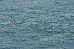 Dcim1461/DSC_1543