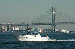 Dcim1462/DSC_0671