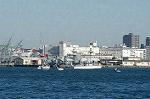 Dcim1463/DSC_1616