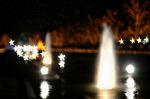 Dcim1470/DSC_1265