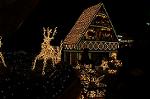 Dcim1471/DSC_1920