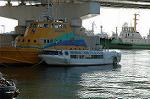 Dcim1475/DSC_1506