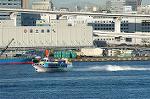 Dcim1476/DSC_2262