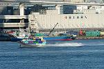 Dcim1476/DSC_2263