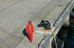 Dcim1477/DSC_1519