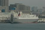 Dcim1481/DSC_1855