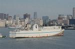 Dcim1482/DSC_2433